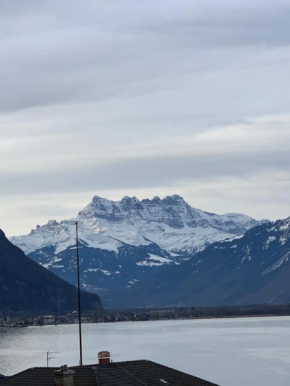 TOP Montreux Centre 2-8 p., view lake and Chillon Castle, Montreux